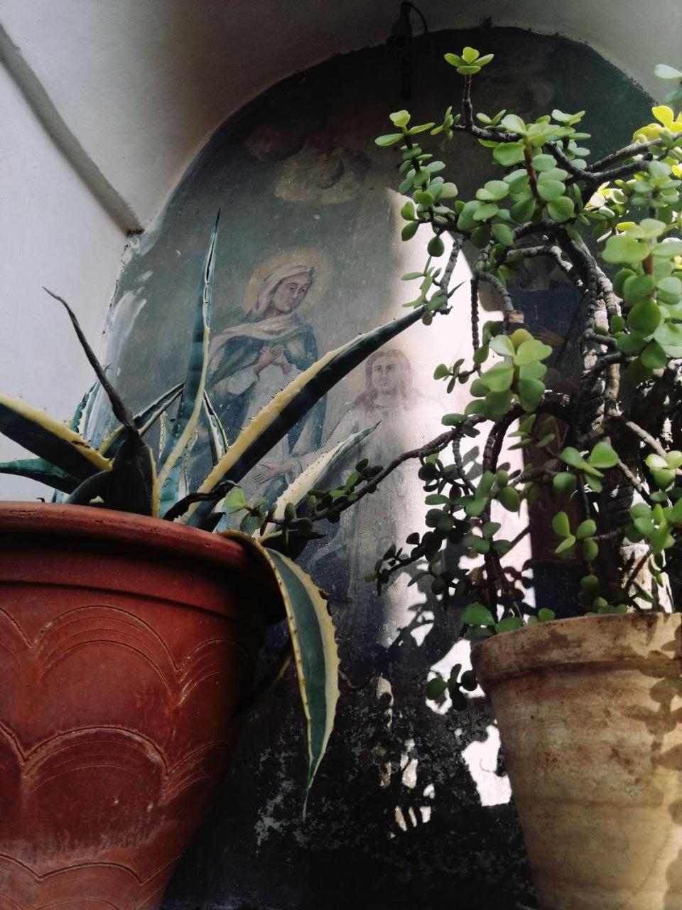 הוילה קטאניה Casa Mariu מראה חיצוני תמונה